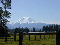 View of Mt. Rainier across fields