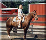 Jennifer on TJ, a quarter horse / morgan